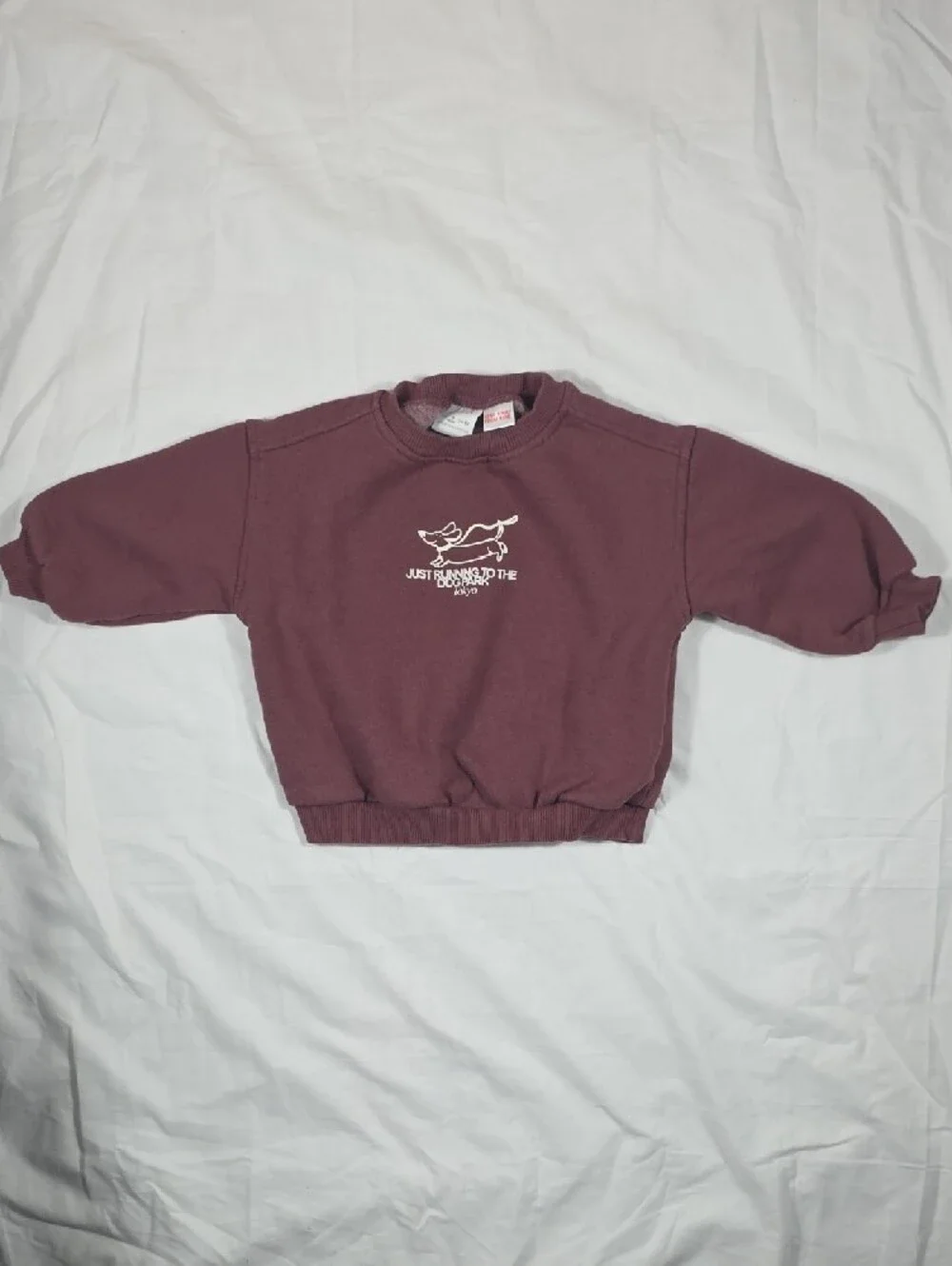 Zara Wine/Mauve Dog Park Graphic Sweatshirt